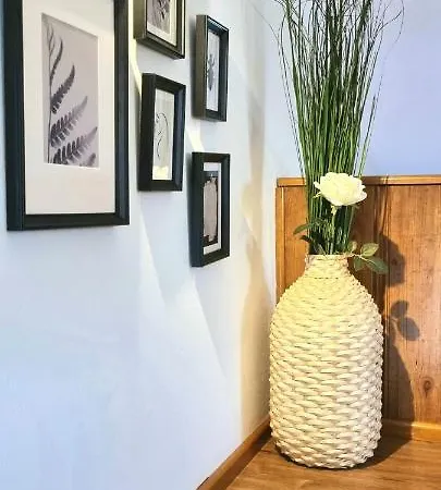 Arguineguin, Canarios *